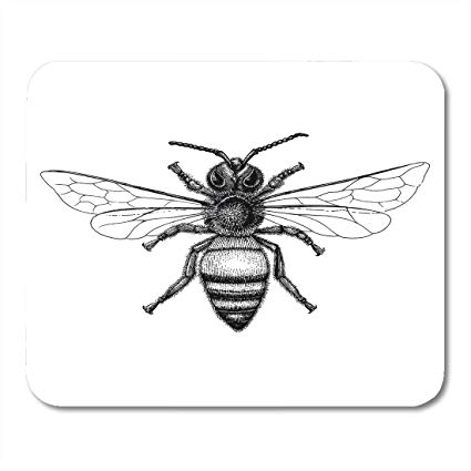 425x425 boszina mouse pads honey black animal bee hand - Vintage Bee Drawing
