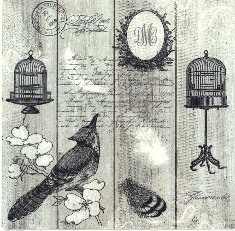 900x885 Decoupage Paper Napkins Of Vintage Bird With Birdcage - Vintage Bird Cage Drawing