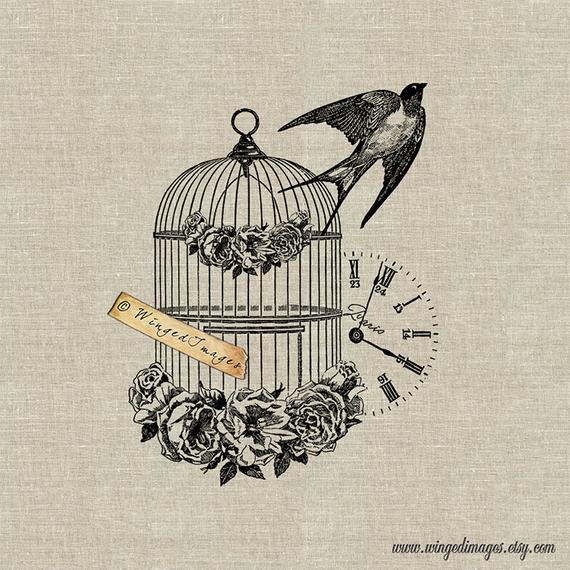 570x570 french vintage bird cage swallow instant download digital etsy - Vintage Bird Cage Drawing