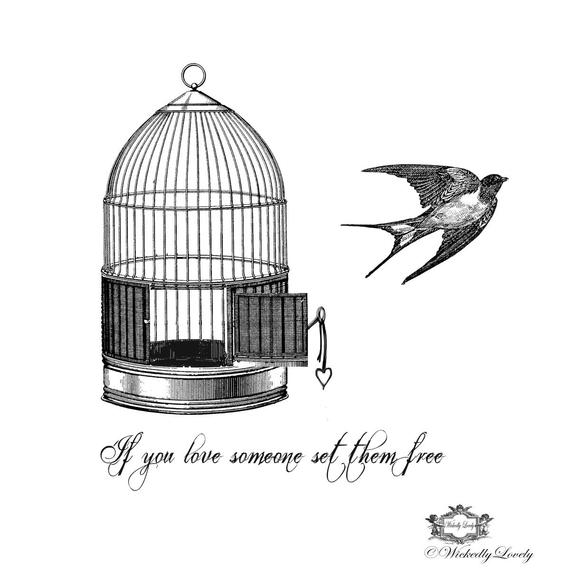 570x570 Set Them Free Vintage Birdcage And Bird With Quote Wickedly Etsy - Vintage Bird Cage Drawing