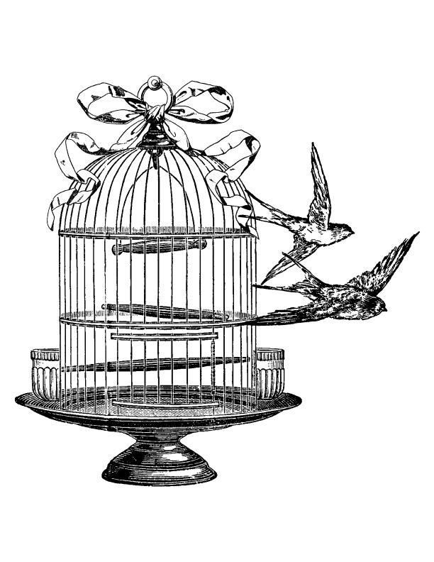612x792 Temporary Tattoos - Vintage Bird Cage Drawing