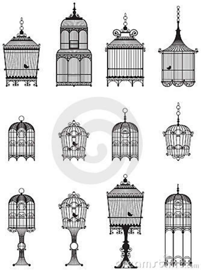 668x900 Vintage Bird Cages Royalty Free Stock Images - Vintage Bird Cage Drawing