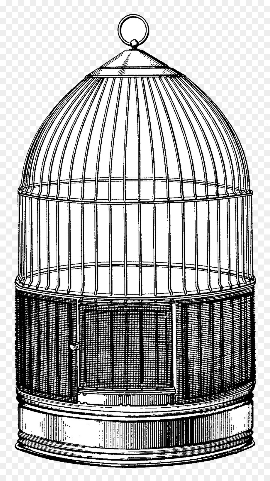 Vintage Bird Cage Drawing at Explore collection of