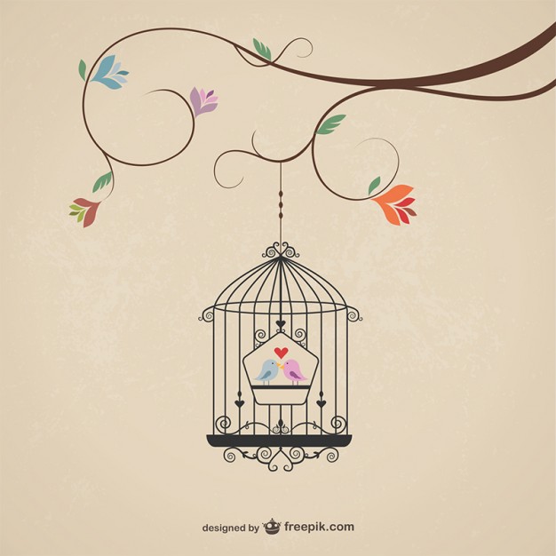 626x626 Birdcage Vectors, Photos And Free Download - Vintage Bird Cage Drawing