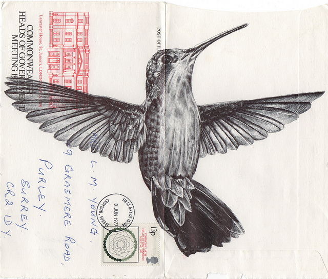 640x544 birds illustrated on vintage envelopes - Vintage Bird Drawing