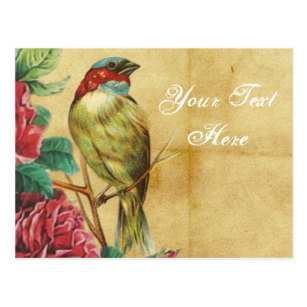 307x307 vintage bird drawing postcards zazzle - Vintage Bird Drawing