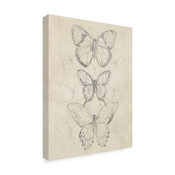 600x600 shop june erica vess 'vintage butterfly sketch i' canvas art - Vintage Butterfly Drawing