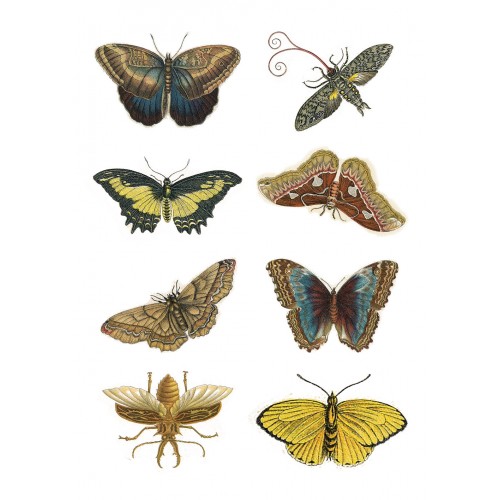 500x500 Stickers - Vintage Butterfly Drawing
