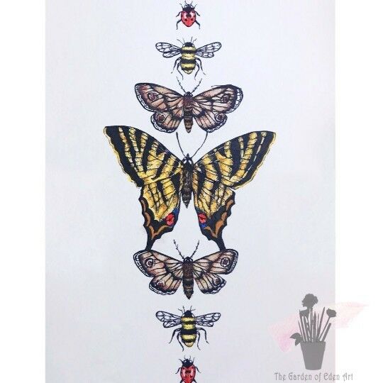 540x540 Vintage Butterfly Insect Bee Drawing Illustration Watercolour Paint - Vintage Butterfly Drawing