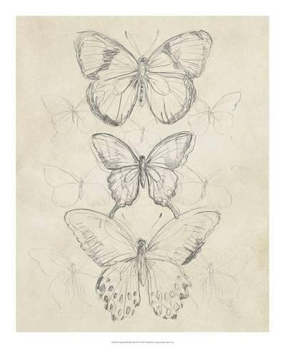399x488 Vintage Butterfly Sketch I Giclee Print - Vintage Butterfly Drawing