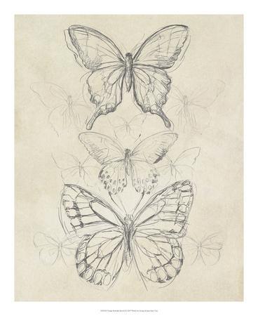 368x450 Vintage Butterfly Sketch Ii Giclee Print - Vintage Butterfly Drawing