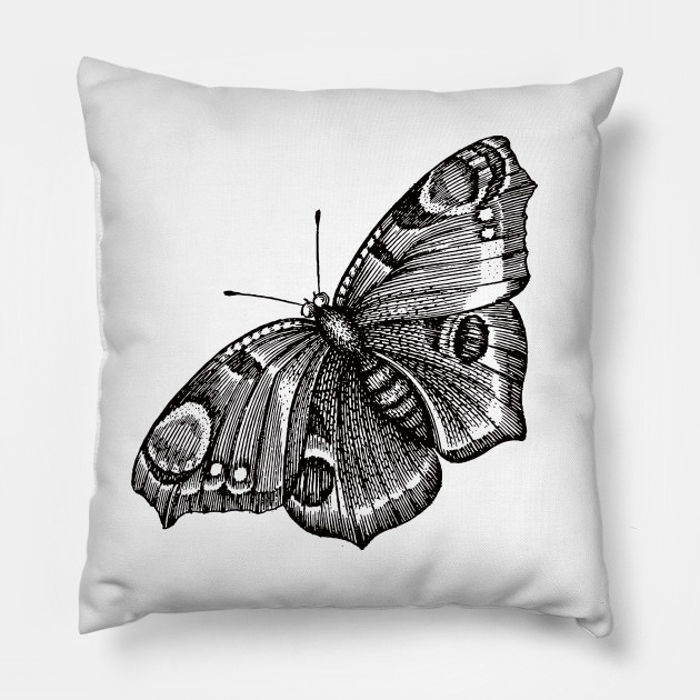 630x630 Vintage Butterfly Illustration - Vintage Butterfly Drawing