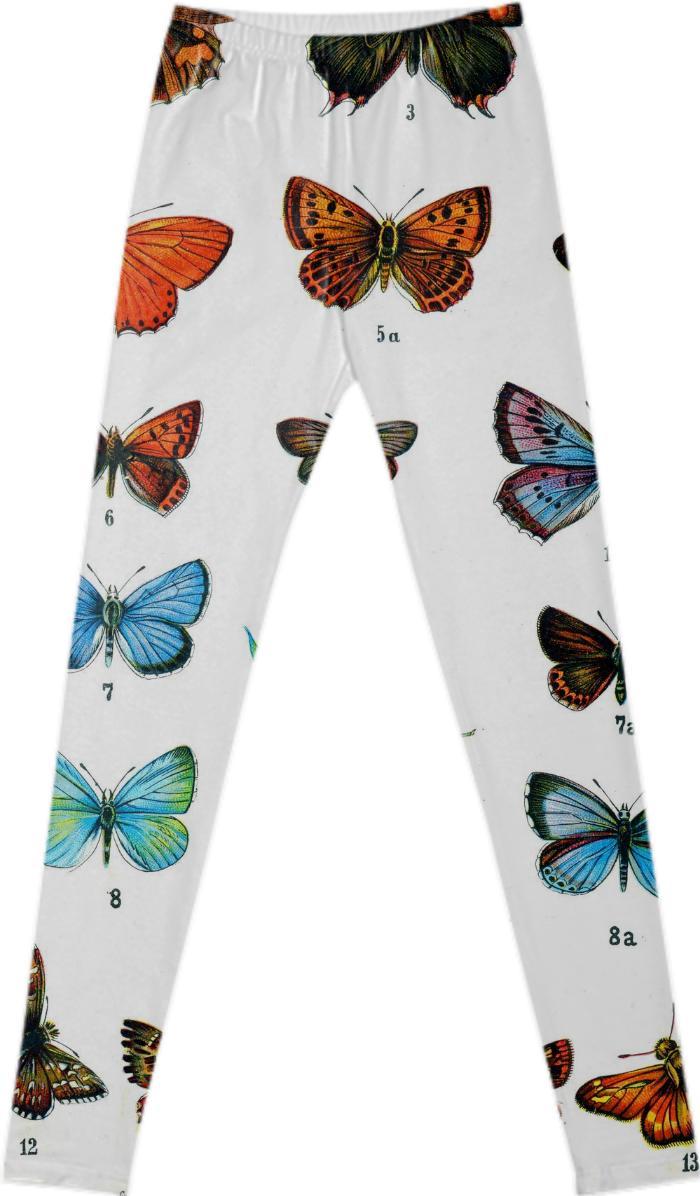 700x1196 Vintage Butterfly Plate Drawing Antique Art Butterflies Print Paom - Vintage Butterfly Drawing