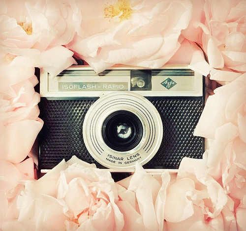 500x469 Camera Vintage Tumblr - Vintage Camera Drawing Tumblr