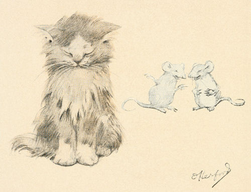 500x384 Cat Mice Drawing - Vintage Cat Drawing