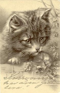 236x361 best vintage cat images drawings, cat art, cat illustrations - Vintage Cat Drawing