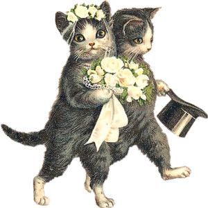 300x300 Image Result For Vintage Cat Drawing Art Cats, Cat Art - Vintage Cat Drawing