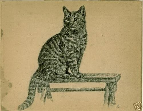 500x388 Vintage Cat Art Charcoal Drawing - Vintage Cat Drawing