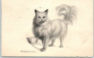300x185 vintage cat postcard white angora tabby artist's drawing w - Vintage Cat Drawing
