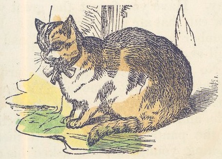 456x328 Vintage Cat Illustration - Vintage Cat Drawing