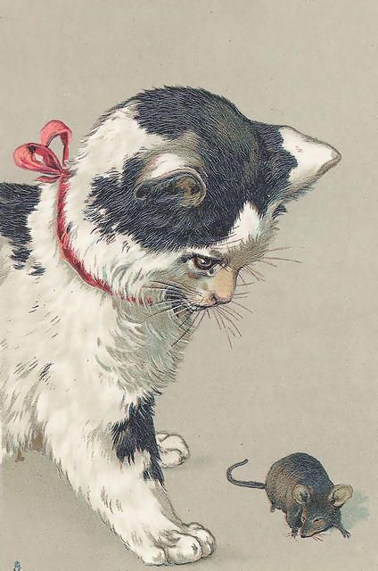 424x640 Vintage Cat And Mouse Illustration Animals In Art - Vintage Cat Drawing