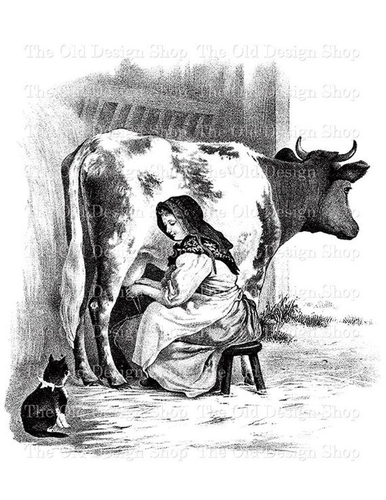 794x1028 Milking Time Vintage Cow Milkmaid Farm Animal Clip Art Etsy - Vintage Cow Drawing