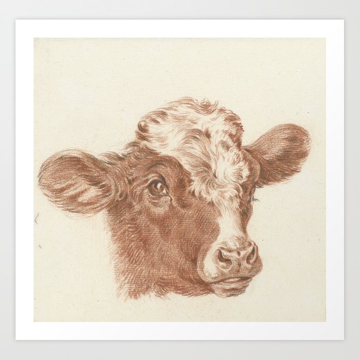 700x700 Vintage Cow Art Art Print - Vintage Cow Drawing
