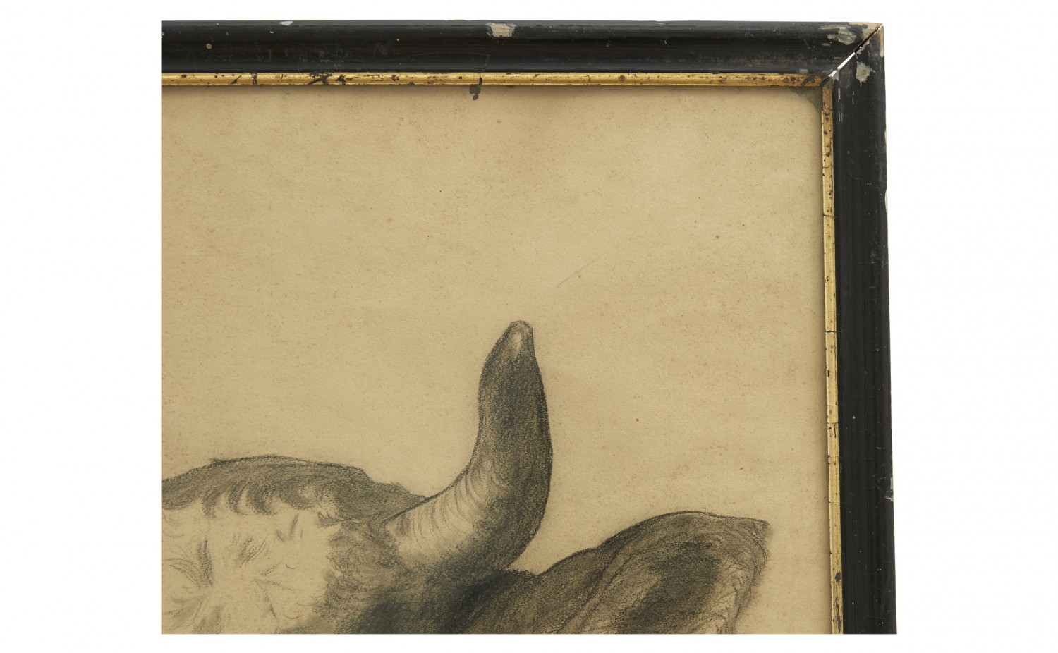 1500x926 Vintage Cow Drawing Jayson Home - Vintage Cow Drawing