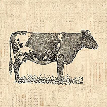 425x425 Antique Cow Art Print For Wall Art Home Decoration - Vintage Cow Drawing