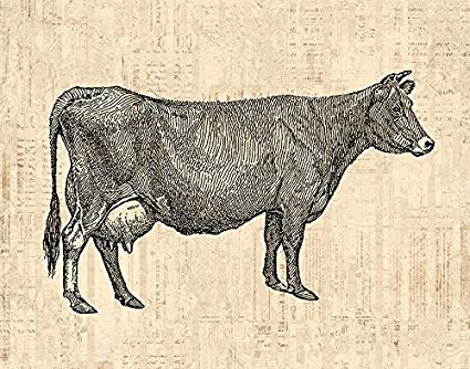 425x334 Vintage Cow Print For Western Wall Art Farm Animal - Vintage Cow Drawing