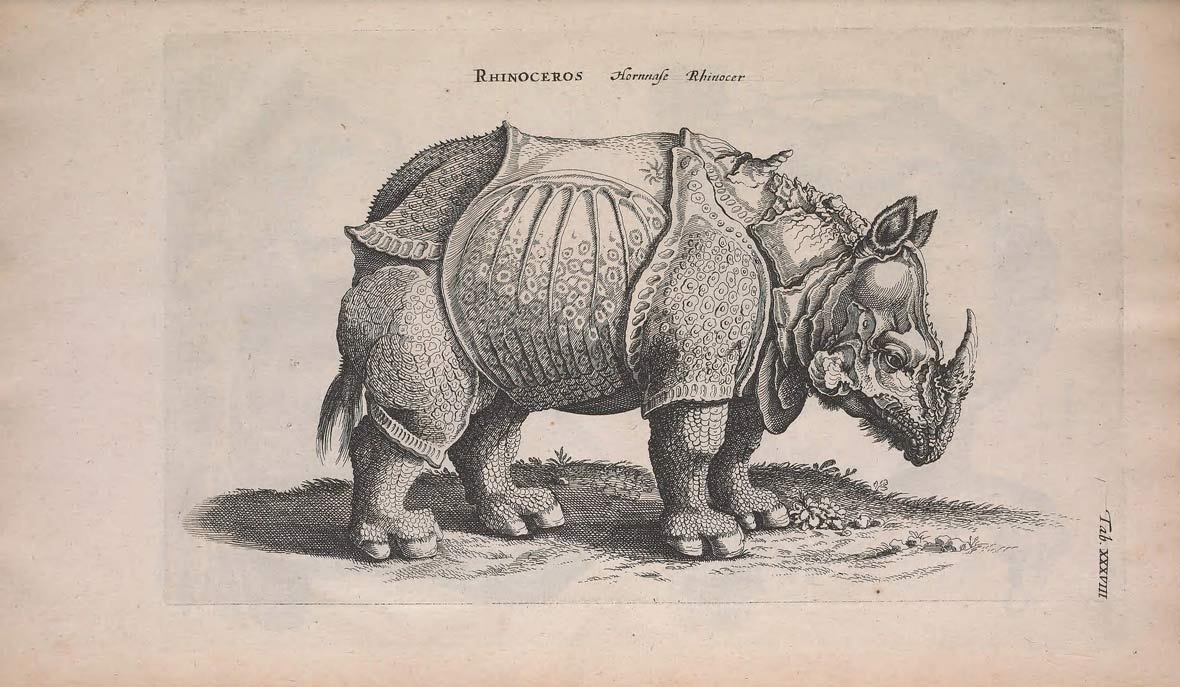 1180x687 top amazing stories behind vintage biology drawings art - Vintage Drawings