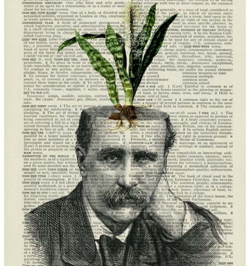 500x539 Beauty Will Save The World - Vintage Drawings