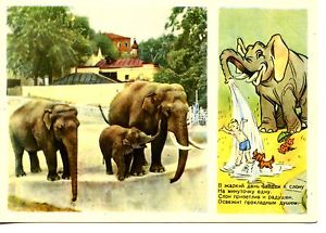 300x215 fantasy drawing little boy elephant dual picture vintage russian - Vintage Elephant Drawing