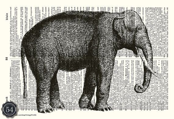 570x390 vintage elephant drawing altered books elephant art - Vintage Elephant Drawing