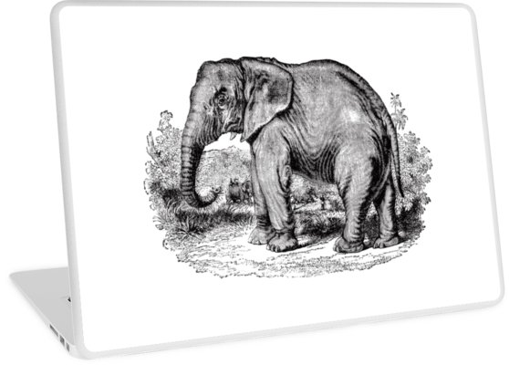 558x400 vintage elephants illustration retro black and white - Vintage Elephant Drawing
