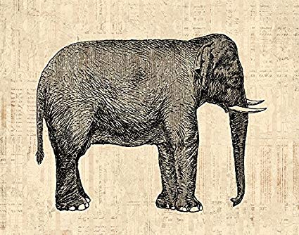 425x334 Vintage Elephant Print For Wall Art Home Decoration - Vintage Elephant Drawing