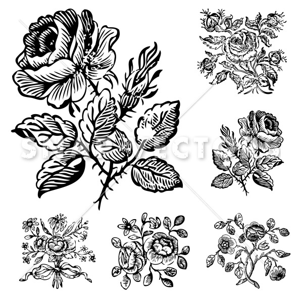 590x590 Old Fashioned Flower Drawings Clipart Collection - Vintage Floral Drawing