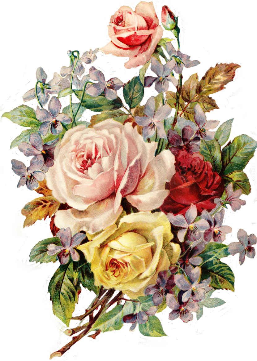 831x1164 Resultado De Imagem Para Vintage Flowers Drawing Ramos Blumen - Vintage Floral Drawing