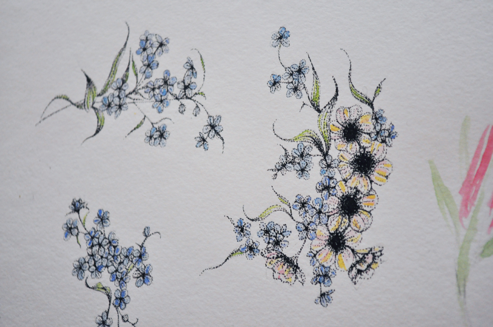 992x659 stationery collection - Vintage Floral Drawing