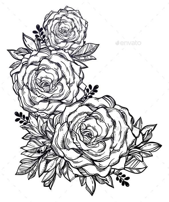 590x708 vintage floral highly detailed hand drawn rose tattoos how - Vintage Floral Drawing