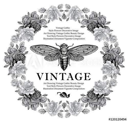 500x478 butterfly, cicada, fly flowers roses isolated, summer beautiful - Vintage Floral Drawing