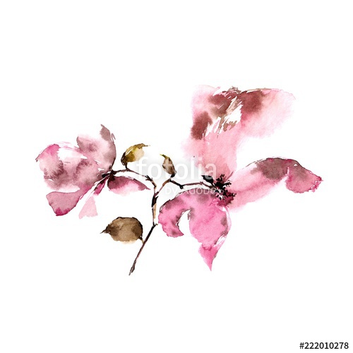 500x500 Watercolor Vintage Flower Drawing Pink Rose Floral Branch - Vintage Flower Drawing