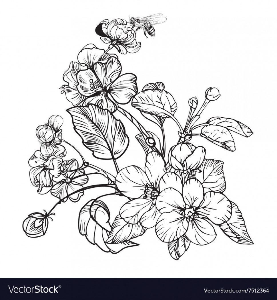 969x1047 Vintage Elegant Flowers Black And White Royalty Free Vector - Vintage Flower Drawing