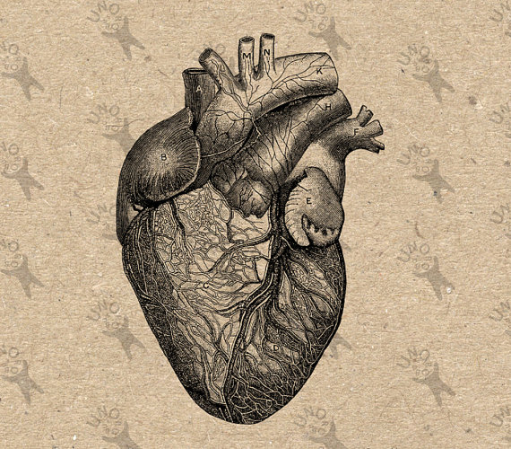 570x500 Vintage Heart Art Drawing Skill - Vintage Heart Drawing