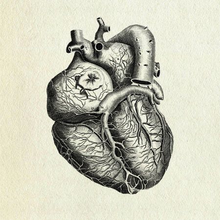 450x450 Vintage Heart Beautiful Image Drawing Drawing Skill - Vintage Heart Drawing