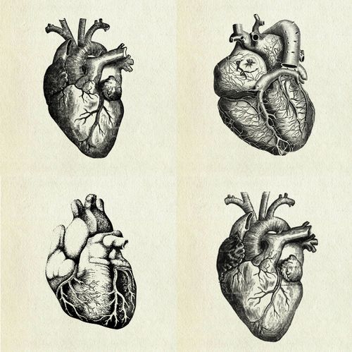 500x499 Vintage Heart Picture Drawing Drawing Skill - Vintage Heart Drawing