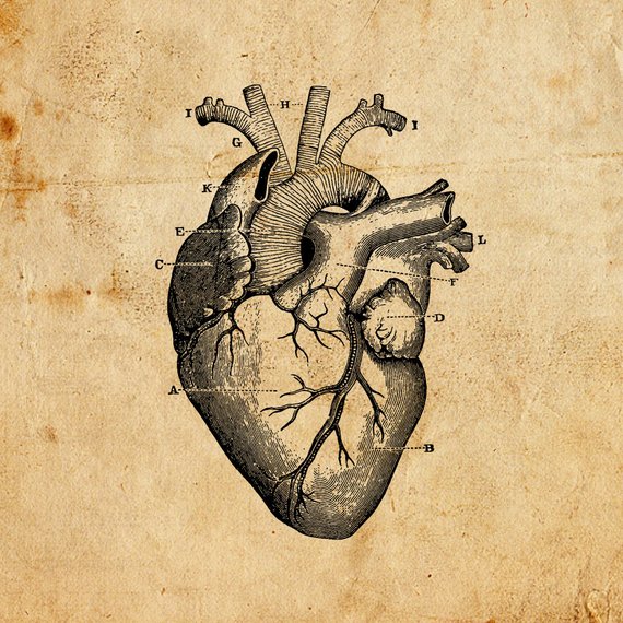 570x570 Vintage Heart Vector Png Digital Download Art Etsy - Vintage Heart Drawing