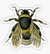 210x230 honey bee drawing stickers redbubble - Vintage Honey Bee Drawing