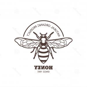 300x300 honey bee icon vector illustration gm arenawp - Vintage Honey Bee Drawing