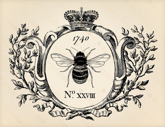 570x441 Printable Clipart - Vintage Honey Bee Drawing